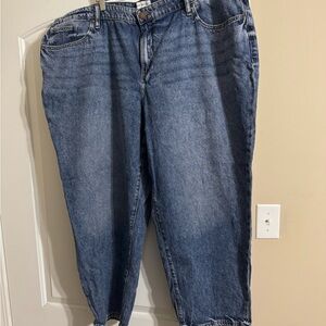 Lane Bryant Dark Blue Denim Jeans